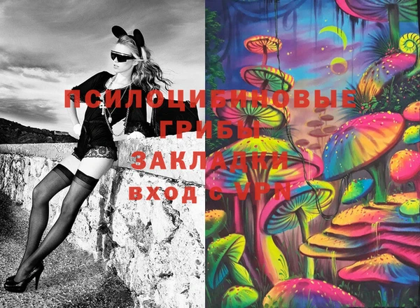 первитин Алексин