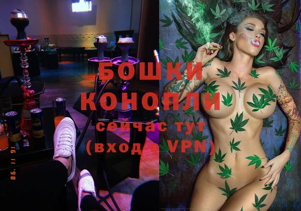 мдпв Няндома